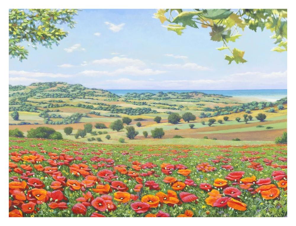 Campo di papaveri-Paper Art-34"x26"