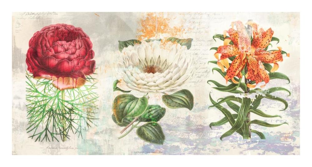 Hortus Botanicus 2.0-Paper Art-26"x14"