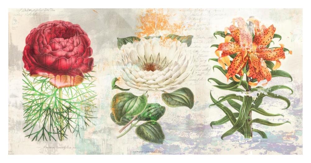 Hortus Botanicus 2.0-Paper Art-38"x20"