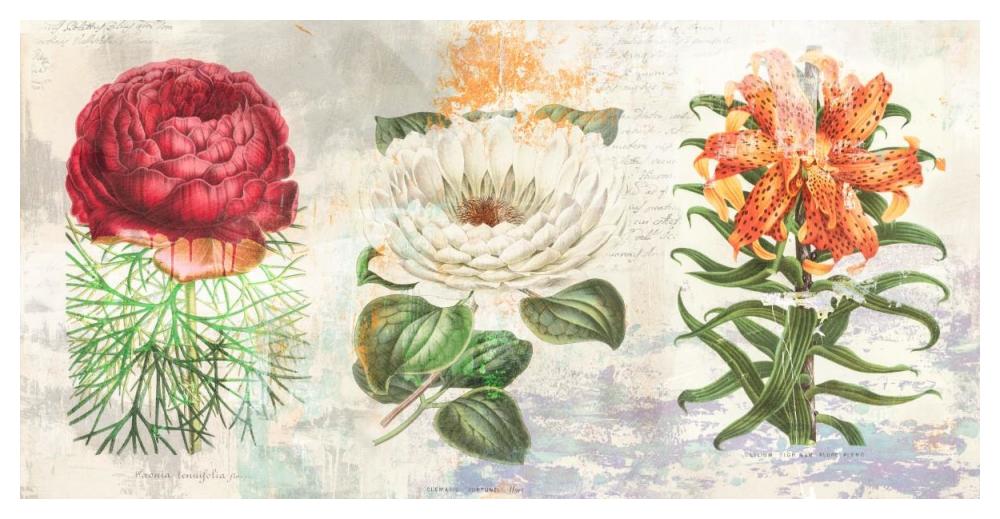 Hortus Botanicus 2.0-Paper Art-50"x26"
