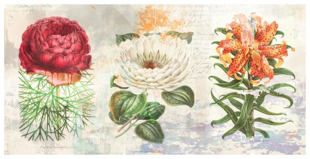 Hortus Botanicus 2.0-Paper Art-74"x38"