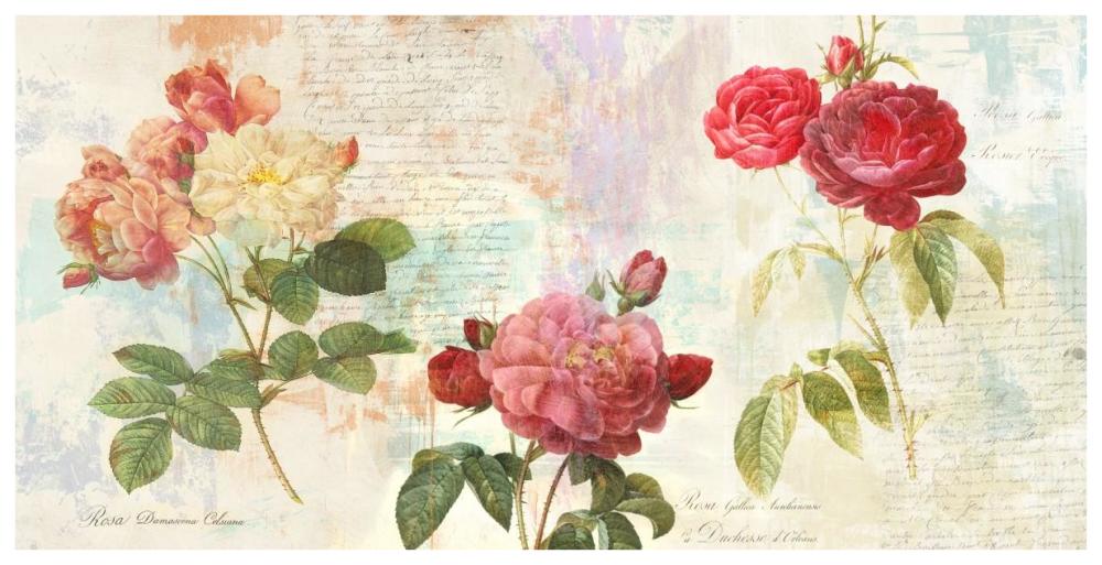 Redoute's Roses 2.0-Paper Art-74"x38"