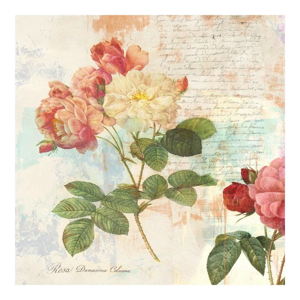 Redoute's Roses 2.0 I-Paper Art-20"x20"