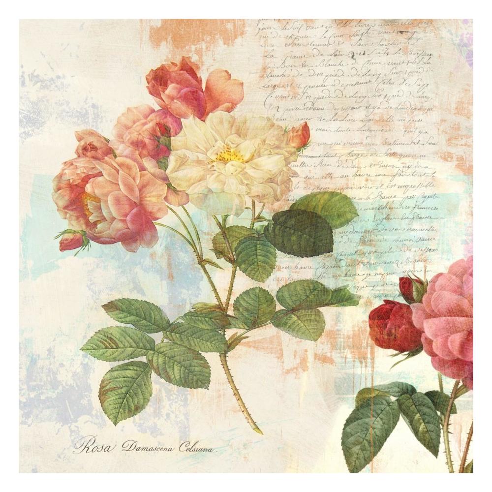 Redoute's Roses 2.0 I-Paper Art-26"x26"