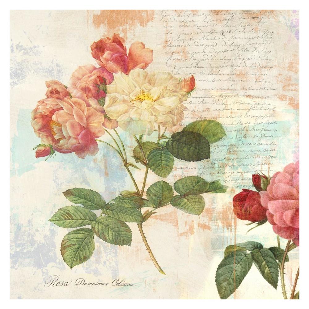 Redoute's Roses 2.0 I-Paper Art-32"x32"