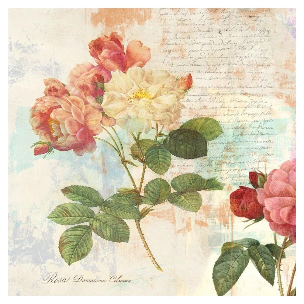 Redoute's Roses 2.0 I-Paper Art-38"x38"