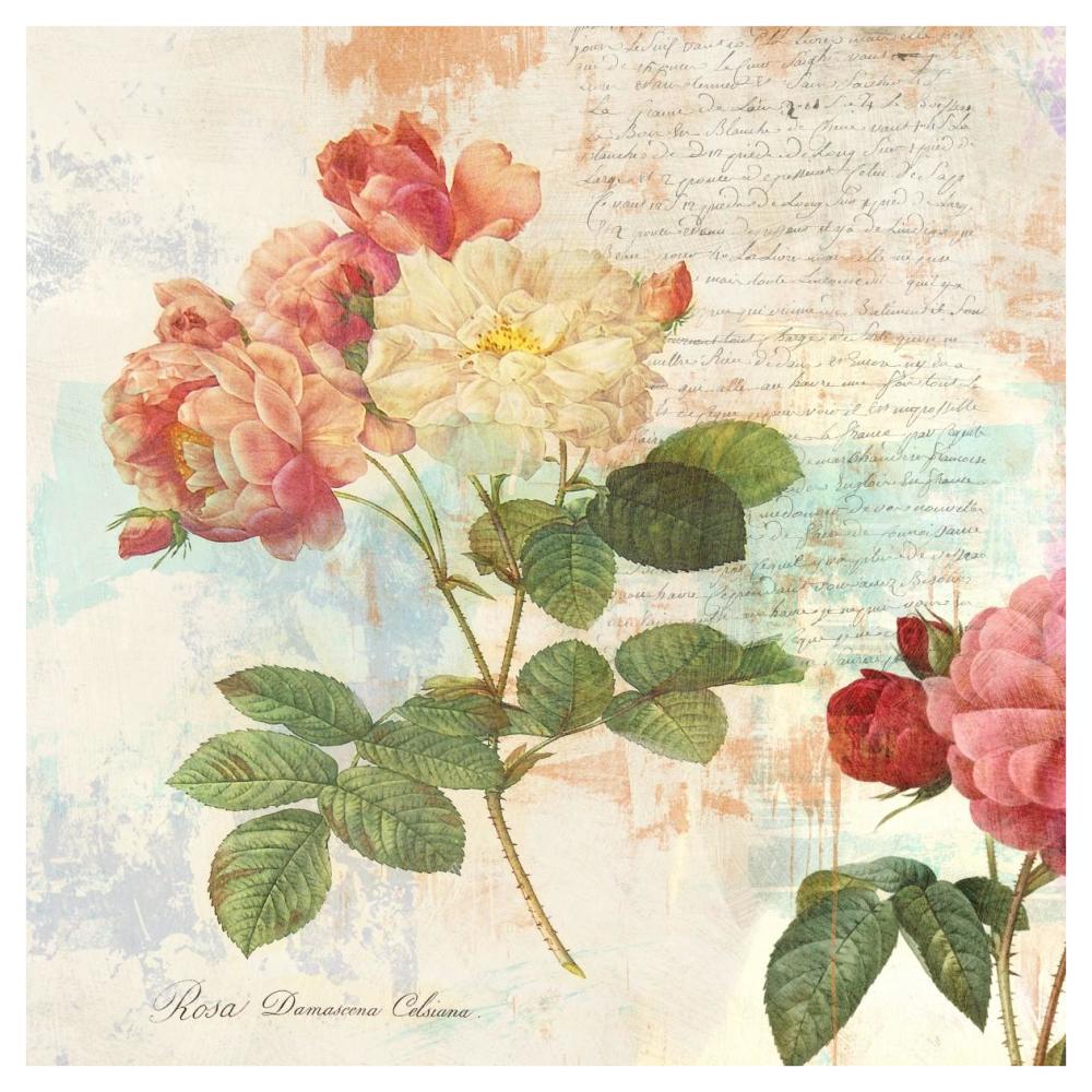 Redoute's Roses 2.0 I-Paper Art-42"x42"