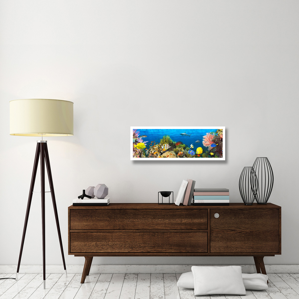 Life in the Coral Reef, Maldives-Paper Art-38&quotx14"