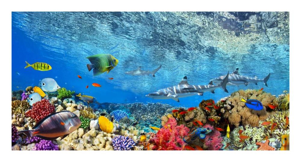 Reef Sharks and fish, Indian Sea-Paper Art-26"x14"