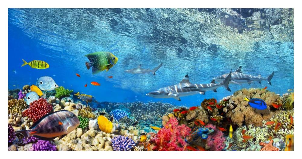 Reef Sharks and fish, Indian Sea-Paper Art-38"x20"