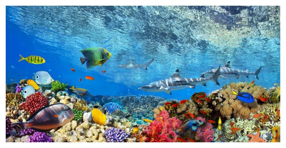 Reef Sharks and fish, Indian Sea-Paper Art-50"x26"