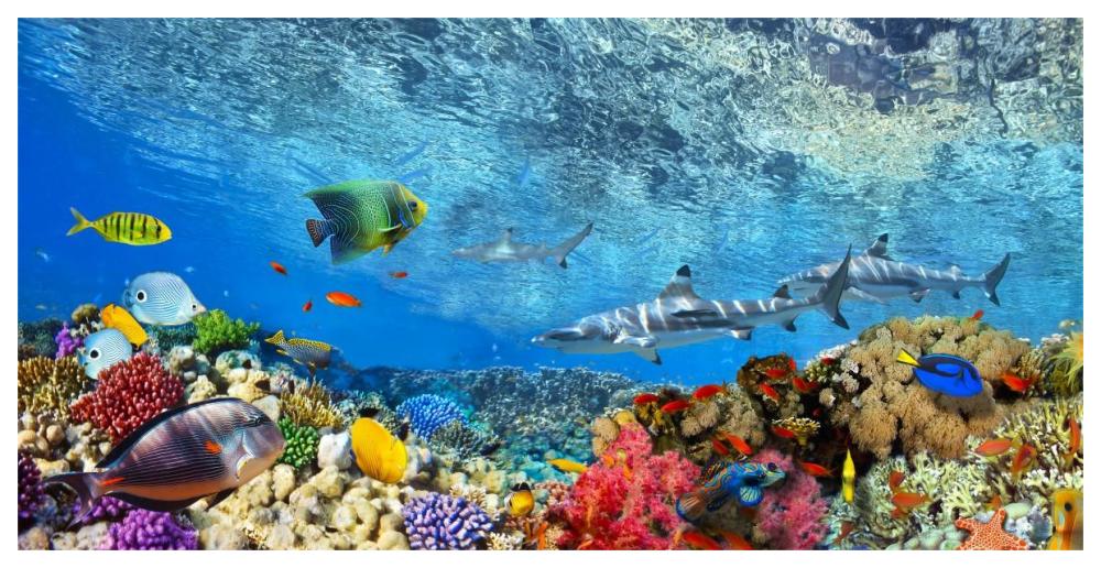 Reef Sharks and fish, Indian Sea-Paper Art-62"x32"