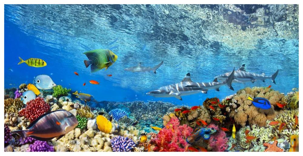 Reef Sharks and fish, Indian Sea-Paper Art-74"x38"