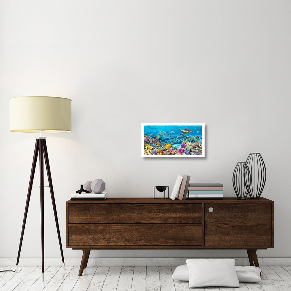 Sea Turtle and fish, Maldivian Coral Reef-Paper Art-26&quotx14"