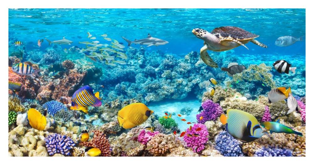 Sea Turtle and fish, Maldivian Coral Reef-Paper Art-38"x20"