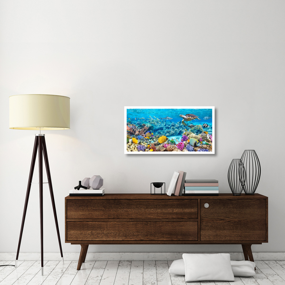 Sea Turtle and fish, Maldivian Coral Reef-Paper Art-38&quotx20"