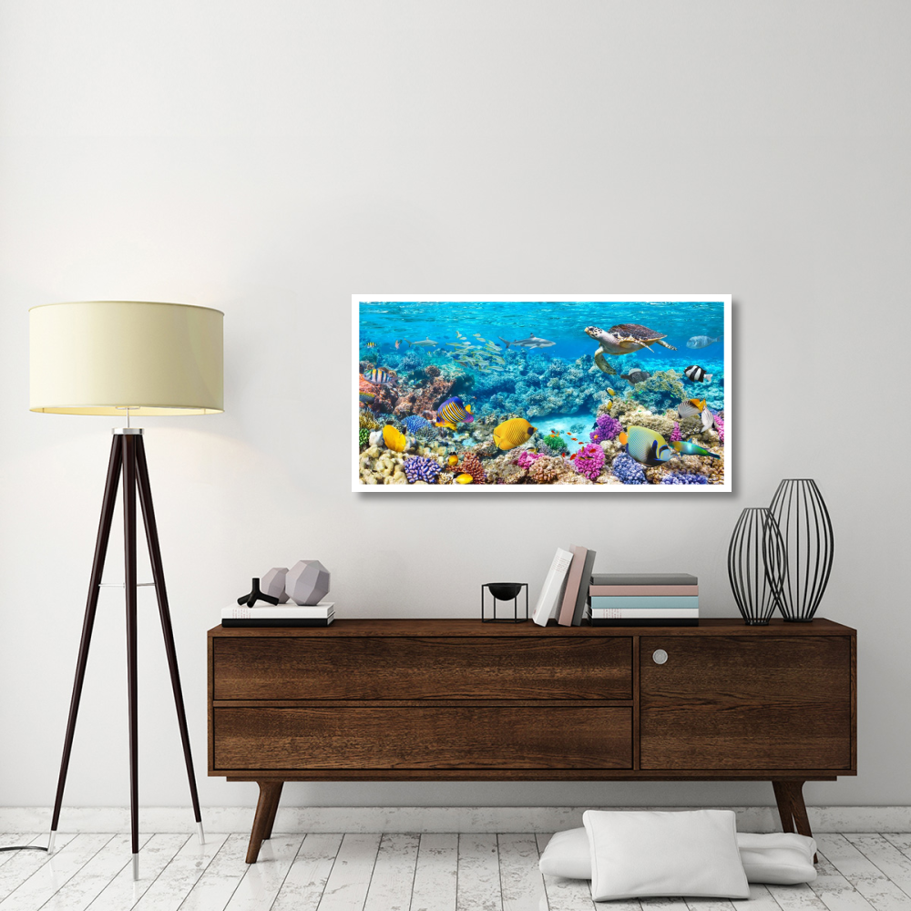 Sea Turtle and fish, Maldivian Coral Reef-Paper Art-50&quotx26"