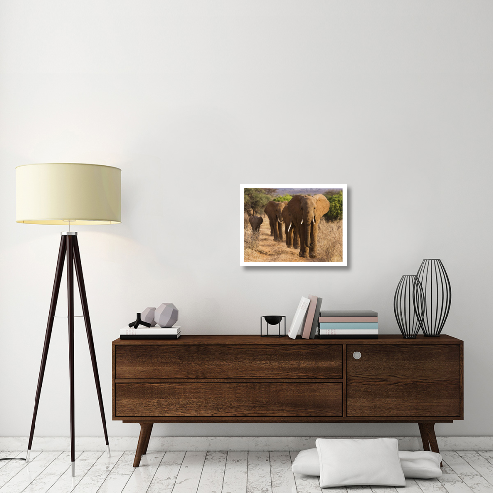 Herd of African Elephants, Kenya-Paper Art-26&quotx20"