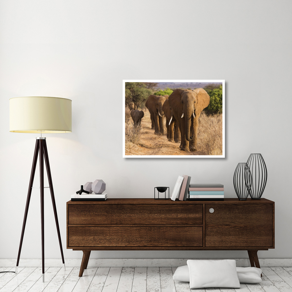Herd of African Elephants, Kenya-Paper Art-42&quotx32"