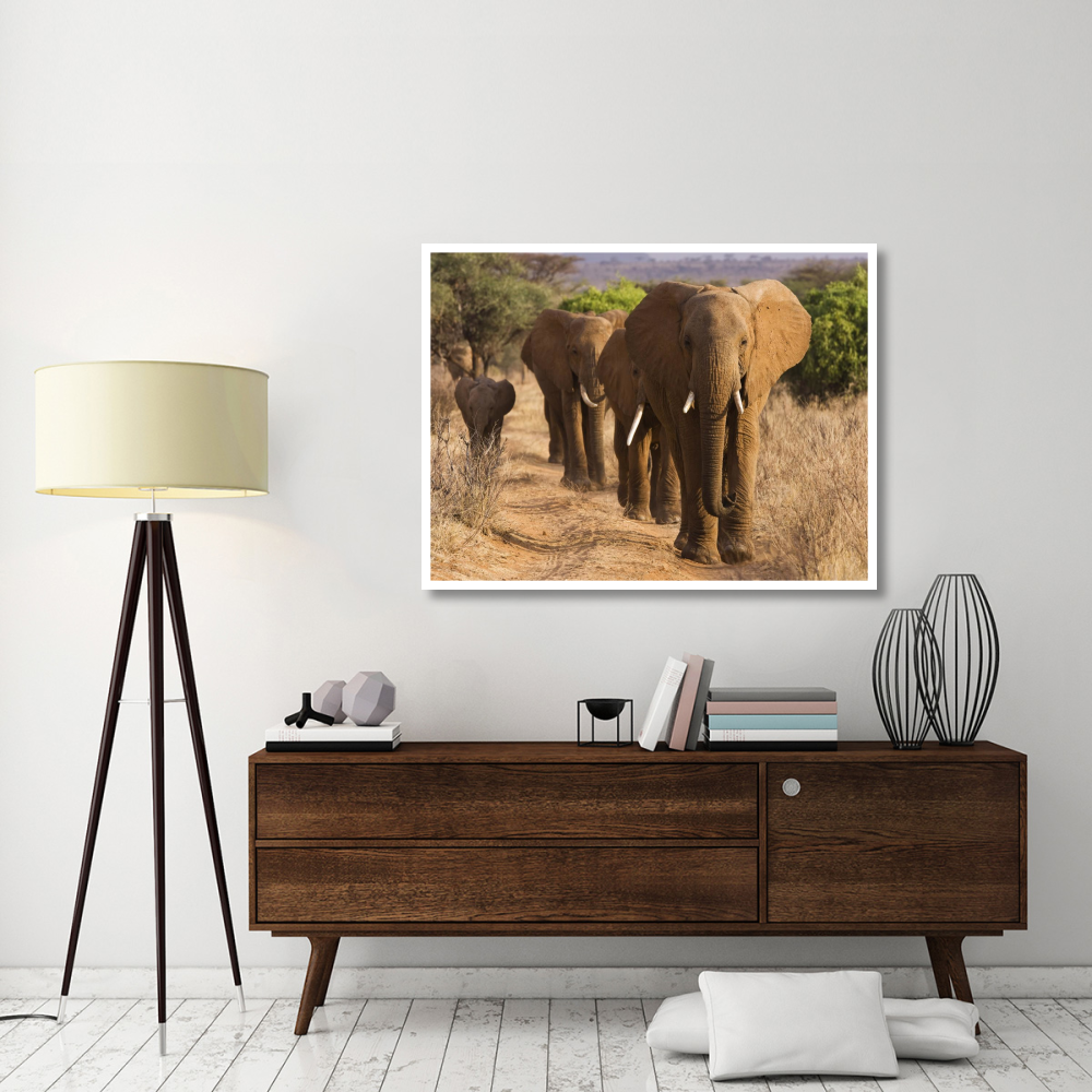 Herd of African Elephants, Kenya-Paper Art-50&quotx38"