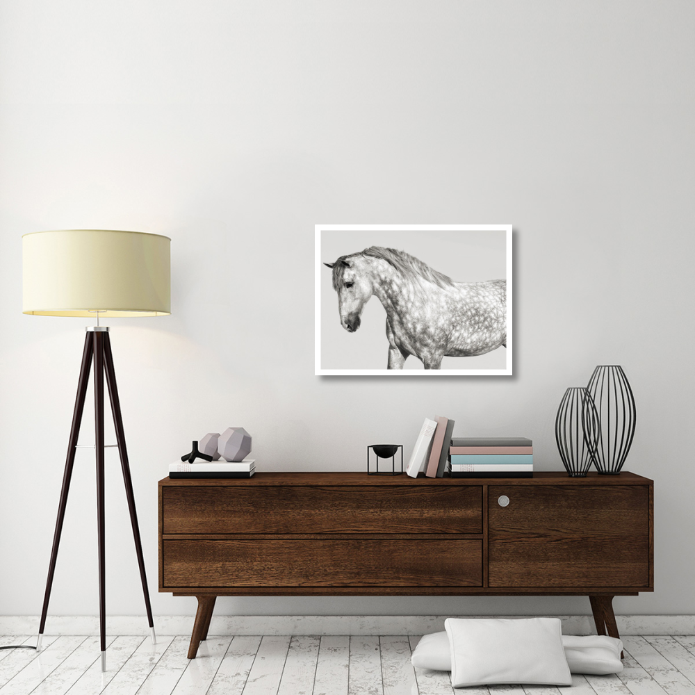Leia, Andalusian Pony-Paper Art-34&quotx26"