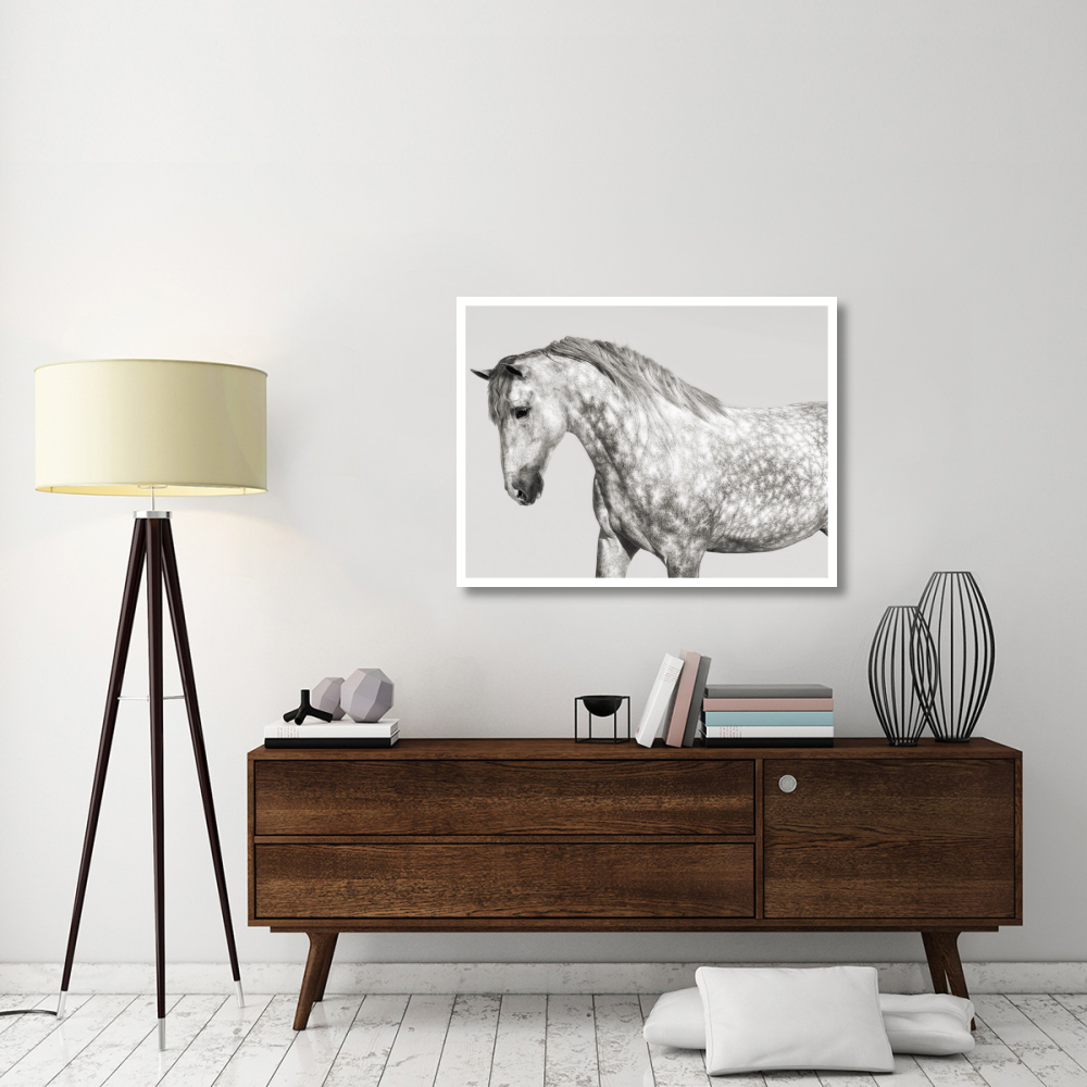 Leia, Andalusian Pony-Paper Art-42&quotx32"