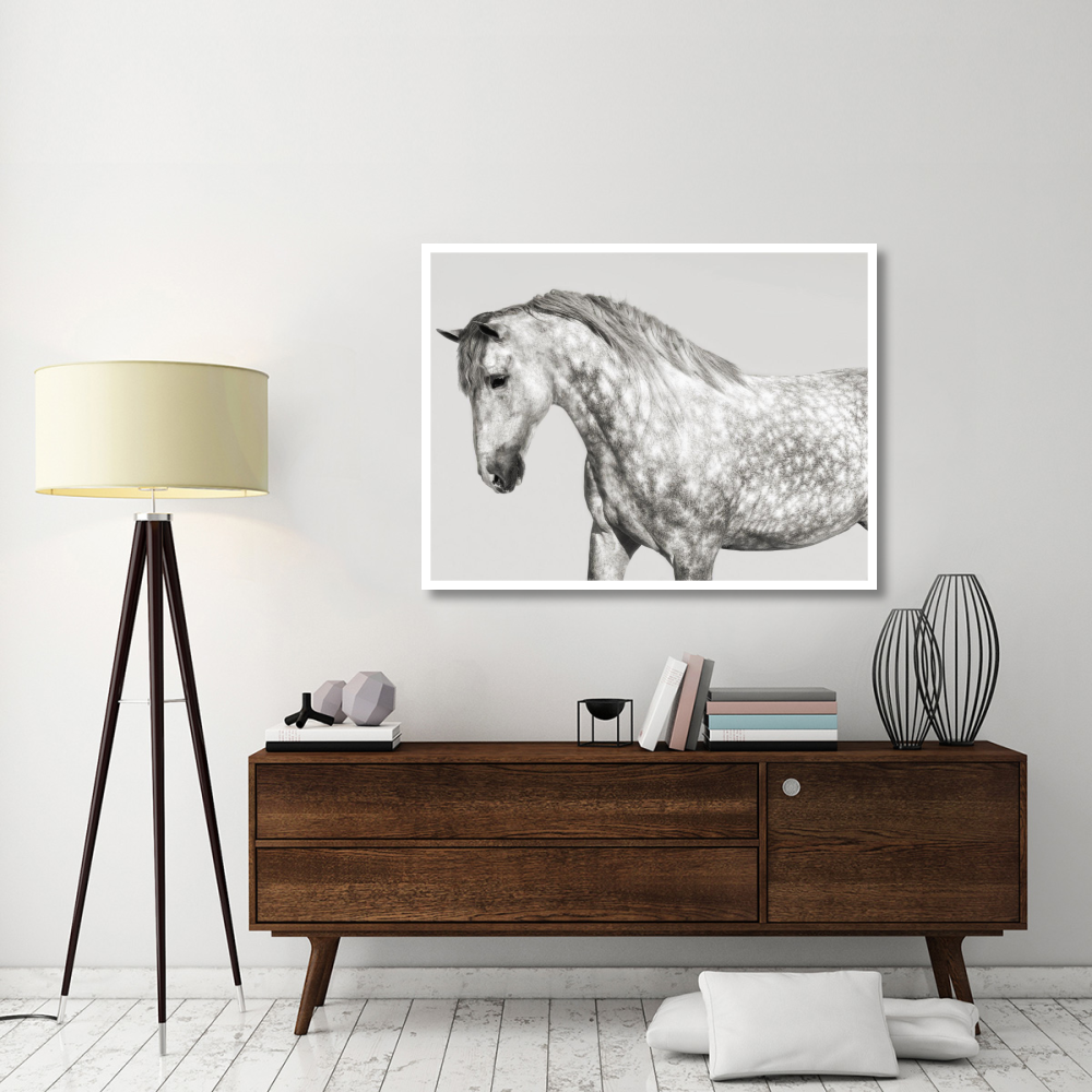 Leia, Andalusian Pony-Paper Art-50&quotx38"
