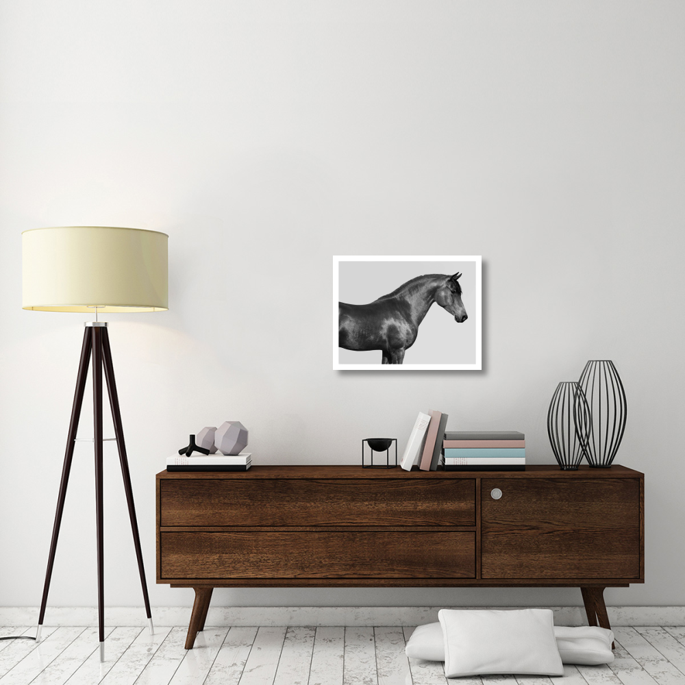 Orpheus, Arab Horse-Paper Art-26&quotx20"