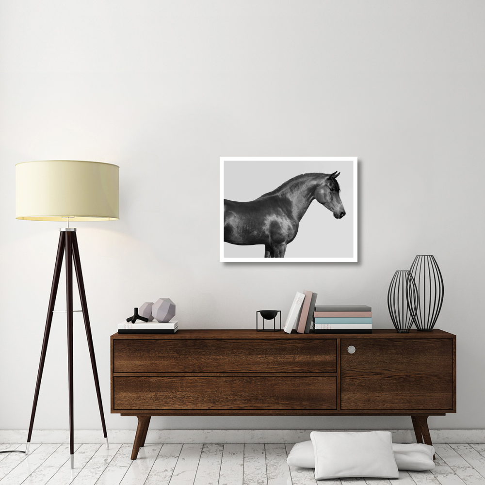 Orpheus, Arab Horse-Paper Art-34&quotx26"