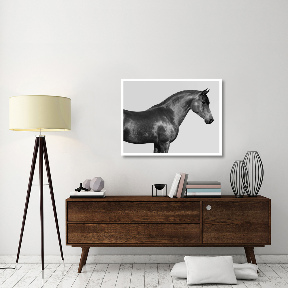 Orpheus, Arab Horse-Paper Art-42&quotx32"