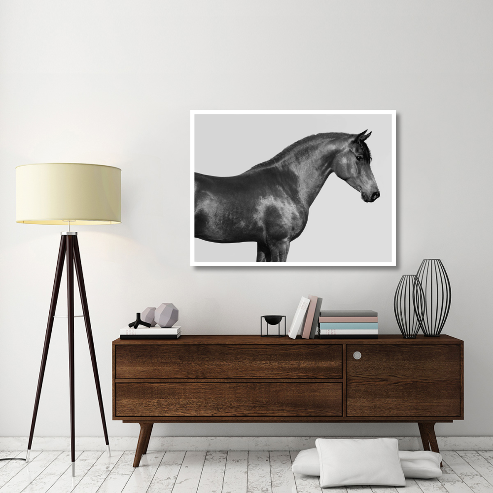 Orpheus, Arab Horse-Paper Art-50&quotx38"
