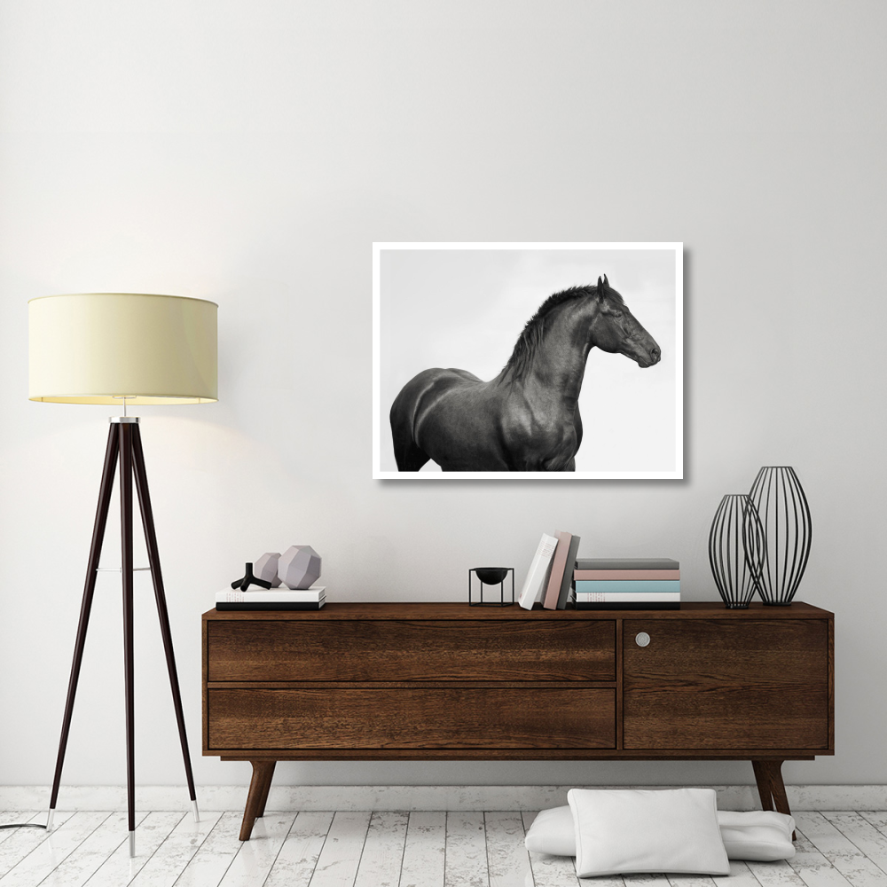 King Mamba, Stallion-Paper Art-42&quotx32"