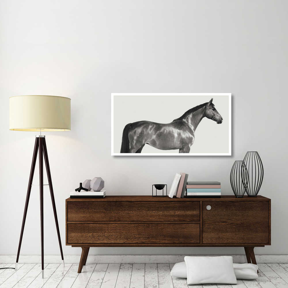 Kingsman Cavalier, English Thoroughbred-Paper Art-50&quotx26"
