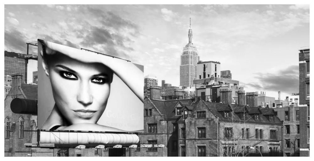 A Billboard in Manhattan-Paper Art-74"x38"