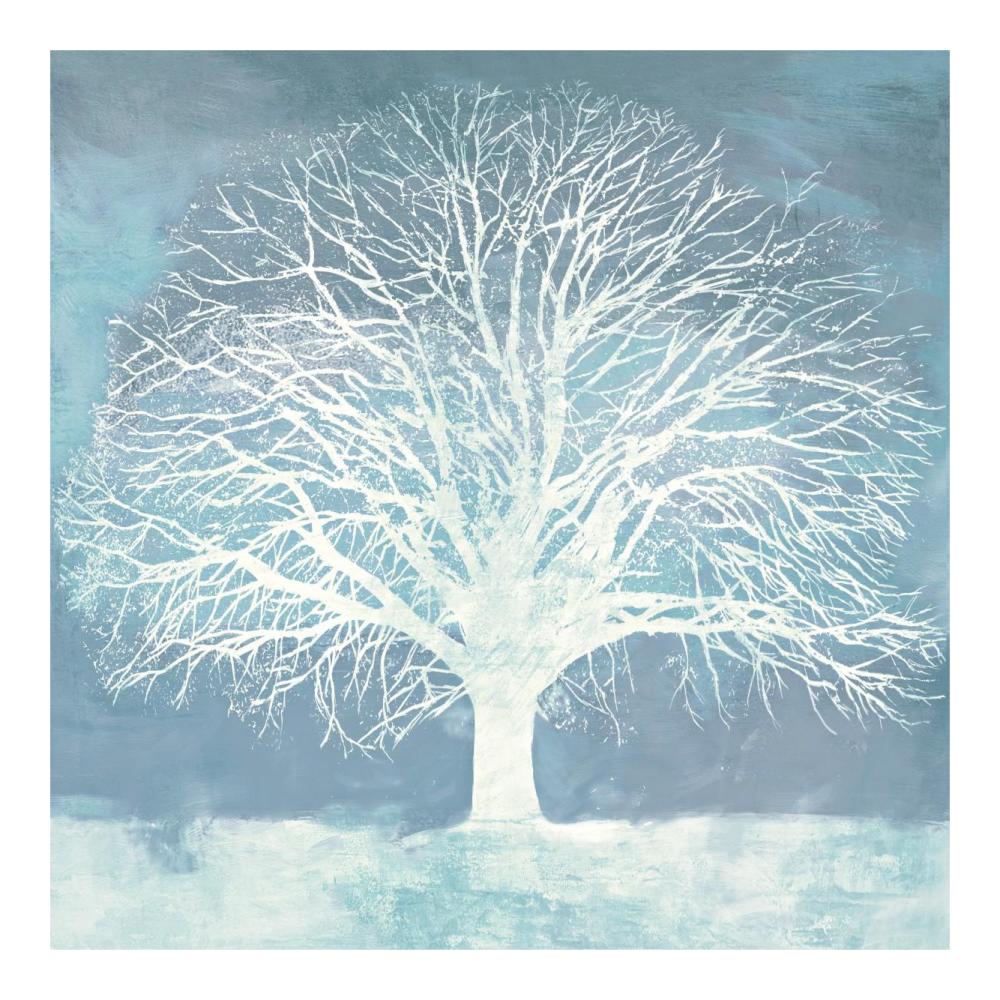 Aqua Oak-Paper Art-20"x20"