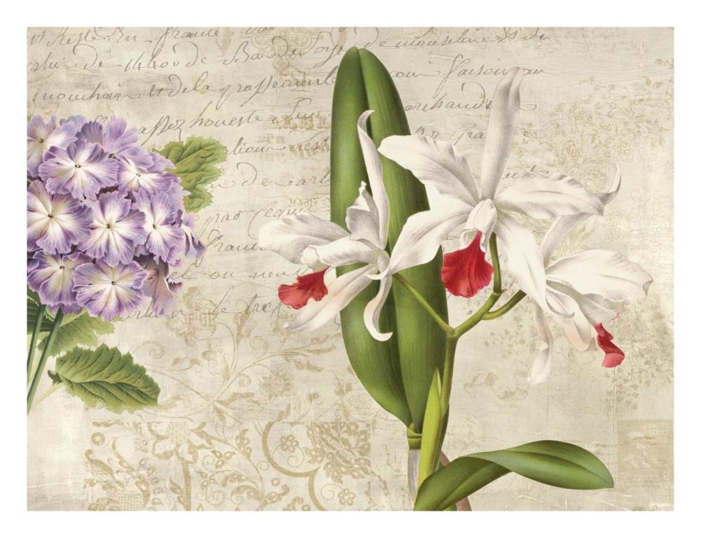 Botanique Moderne III-Paper Art-26"x20"