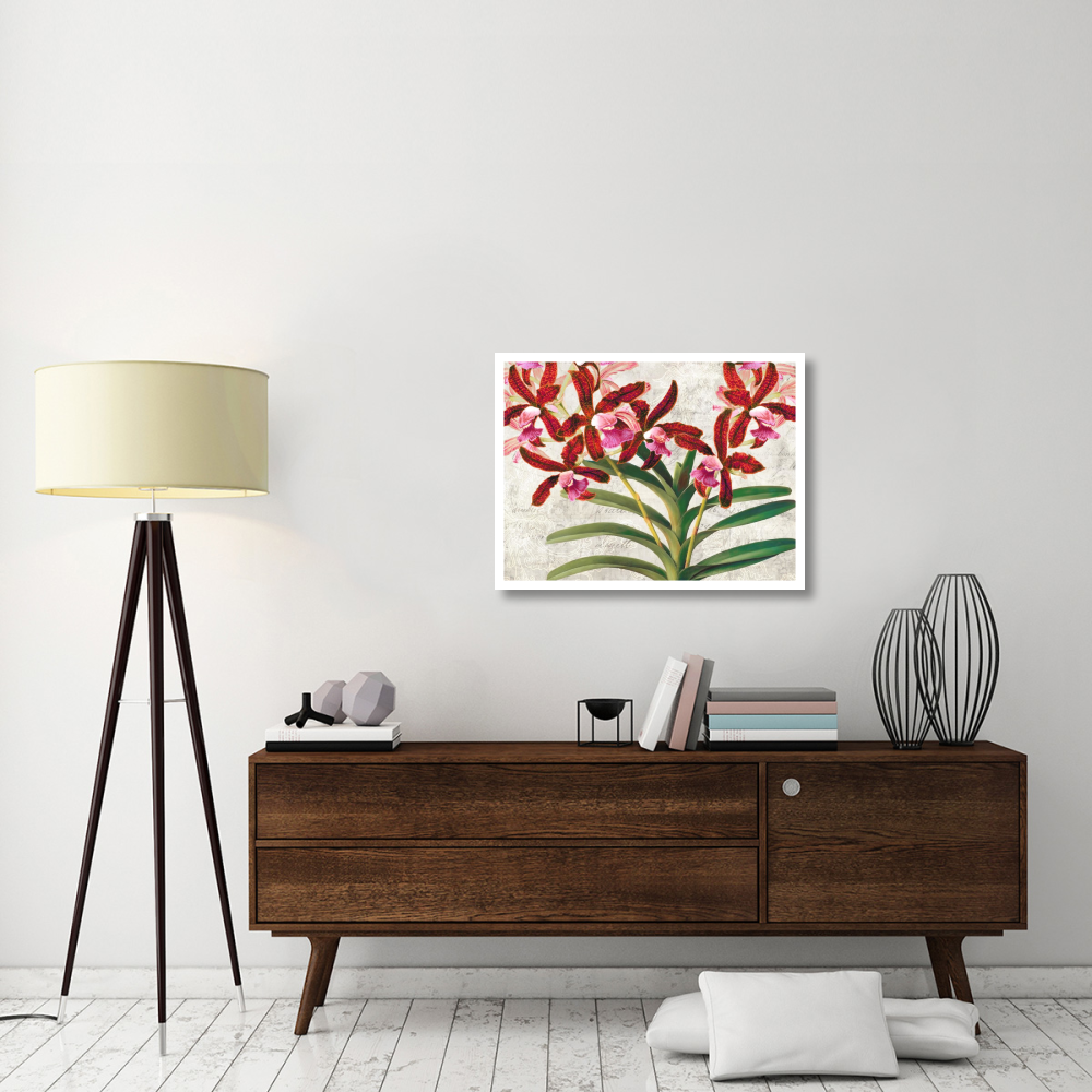 Botanique Moderne I-Paper Art-34&quotx26"