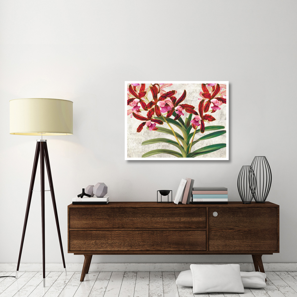 Botanique Moderne I-Paper Art-42&quotx32"