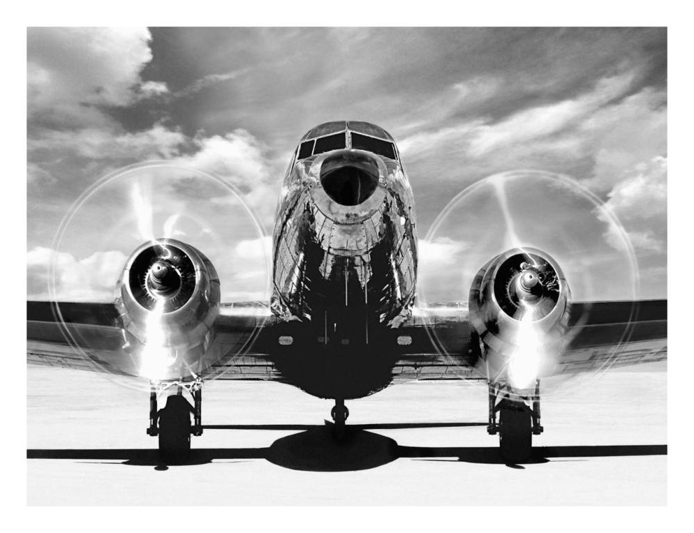 Airplaine taking off-Paper Art-26"x20"