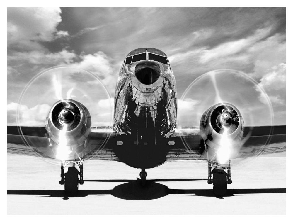 Airplaine taking off-Paper Art-42"x32"