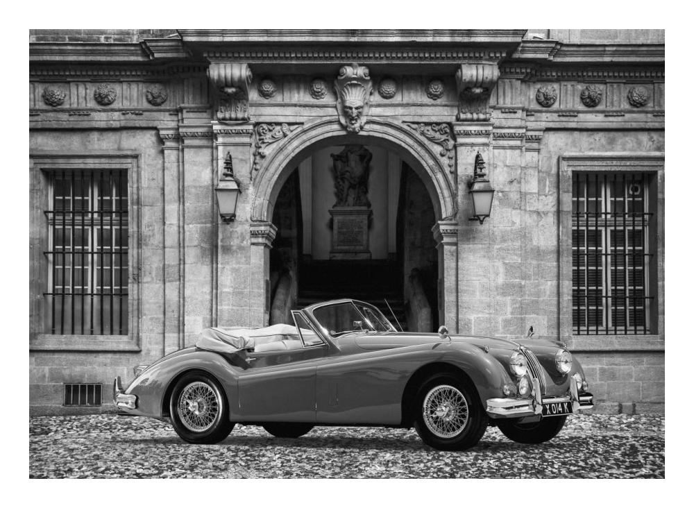 Luxury Car in front of Classic Palace (BW)-Paper Art-24"x18"