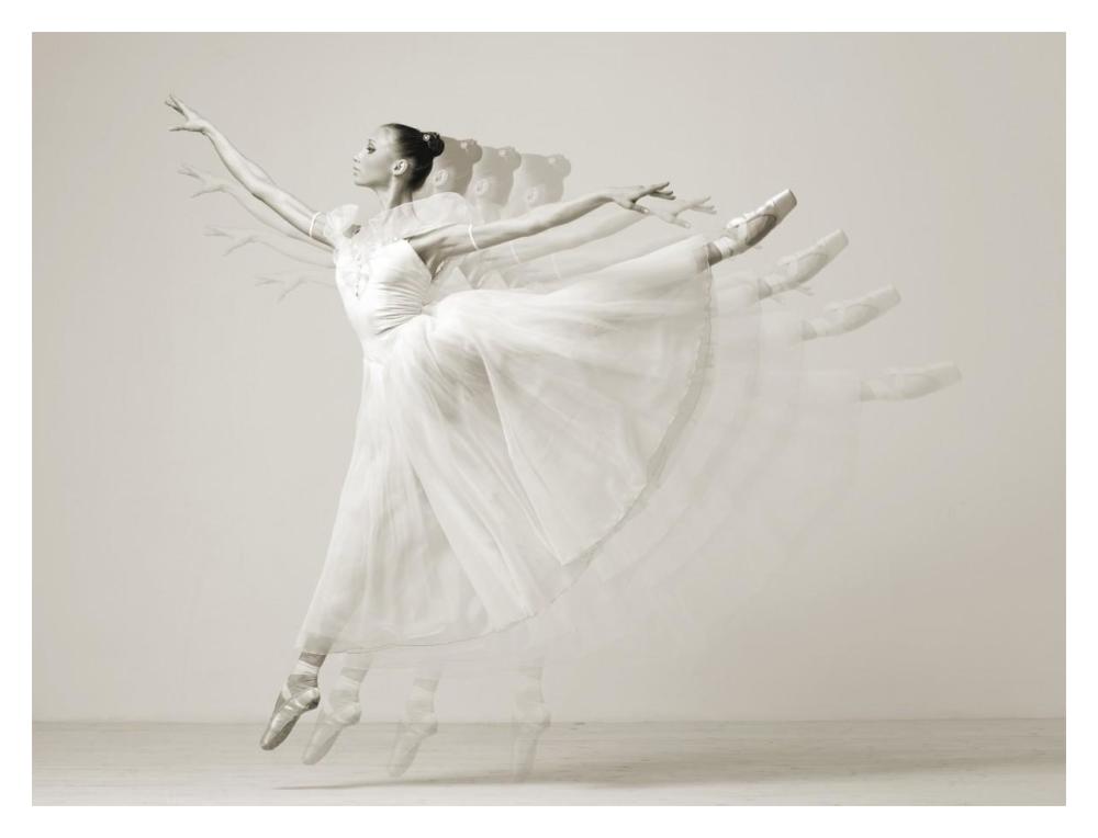 Leaping Beauty-Paper Art-18"x14"