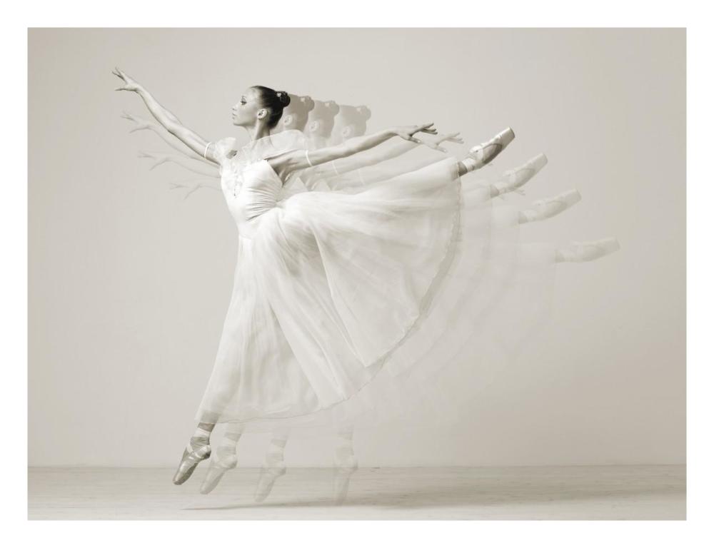 Leaping Beauty-Paper Art-26"x20"
