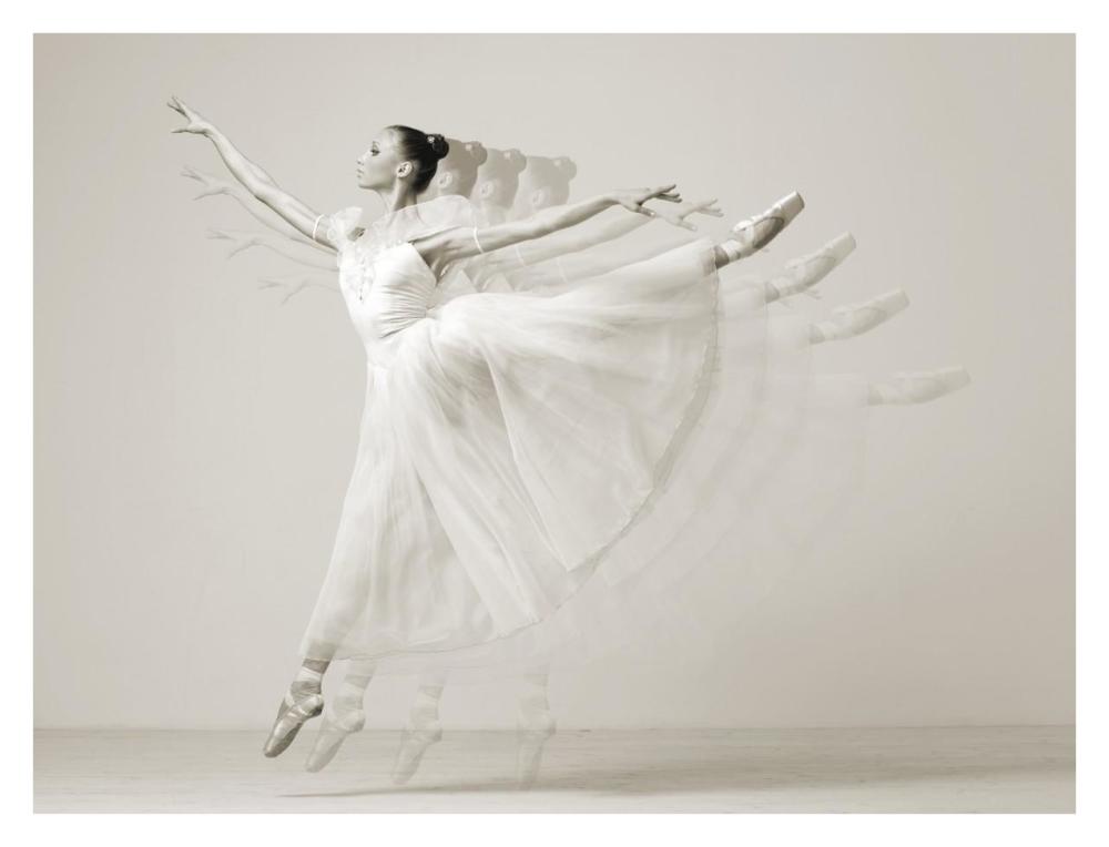 Leaping Beauty-Paper Art-34"x26"