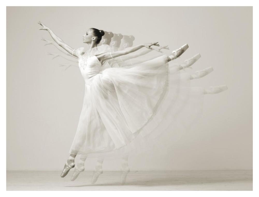 Leaping Beauty-Paper Art-42"x32"