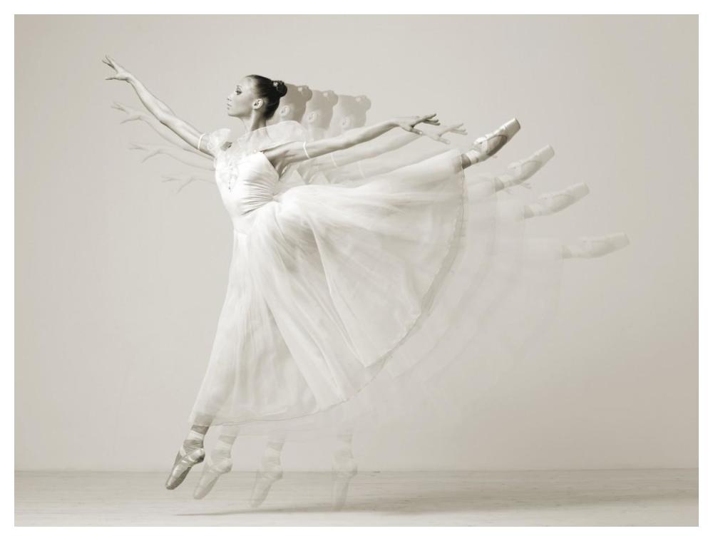 Leaping Beauty-Paper Art-50"x38"