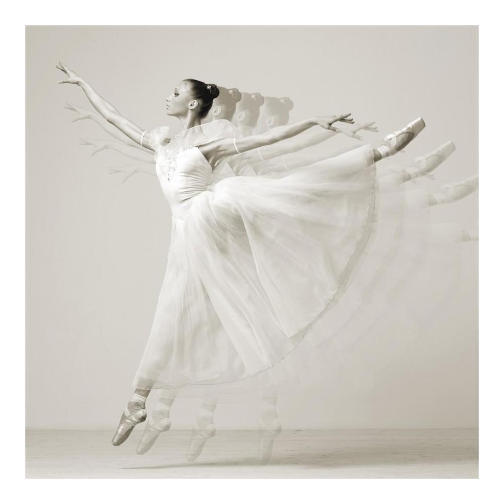 Leaping Beauty (detail)-Paper Art-20"x20"