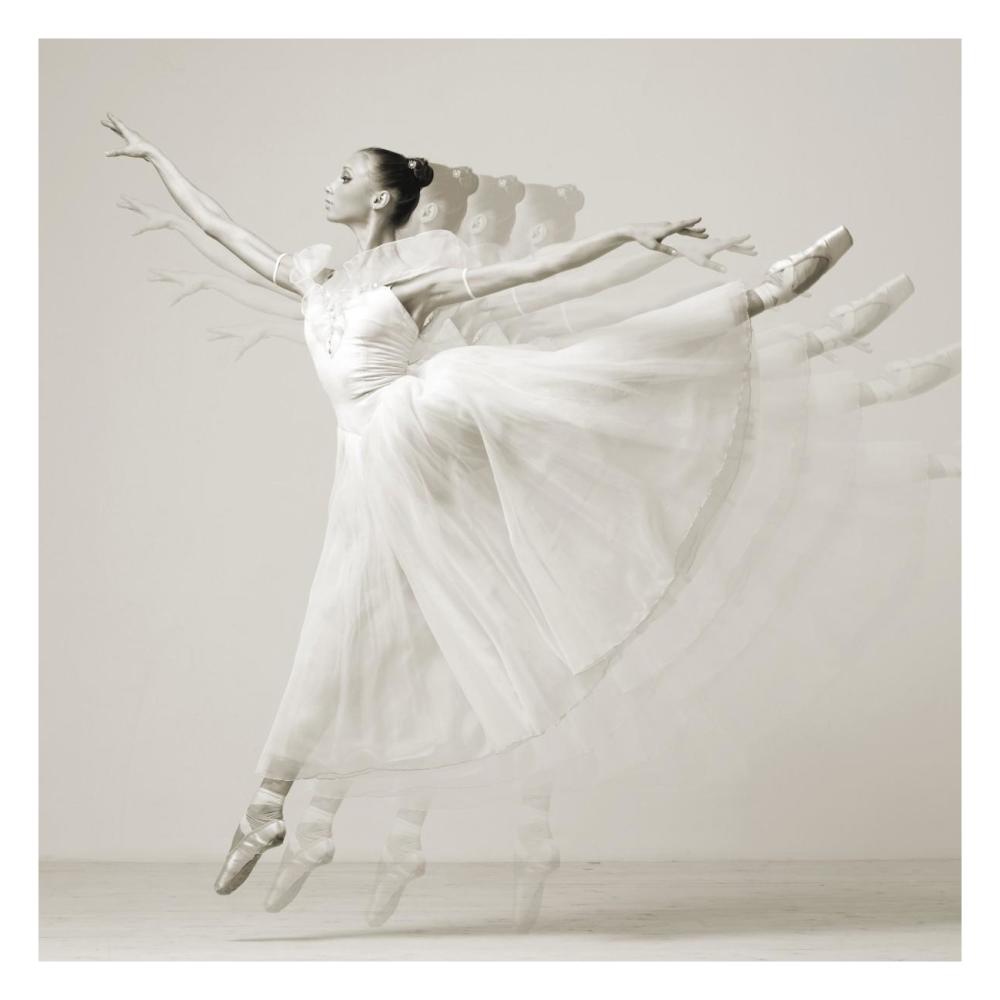 Leaping Beauty (detail)-Paper Art-26"x26"