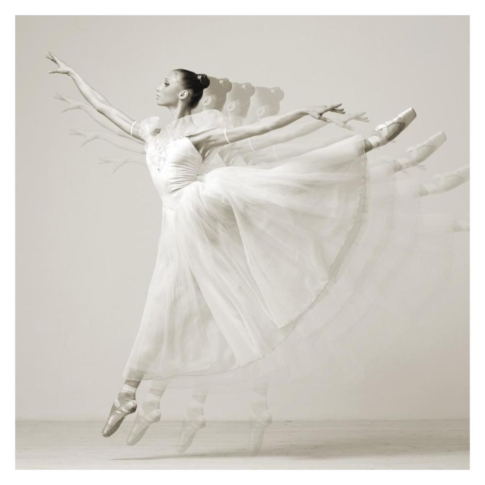 Leaping Beauty (detail)-Paper Art-32"x32"