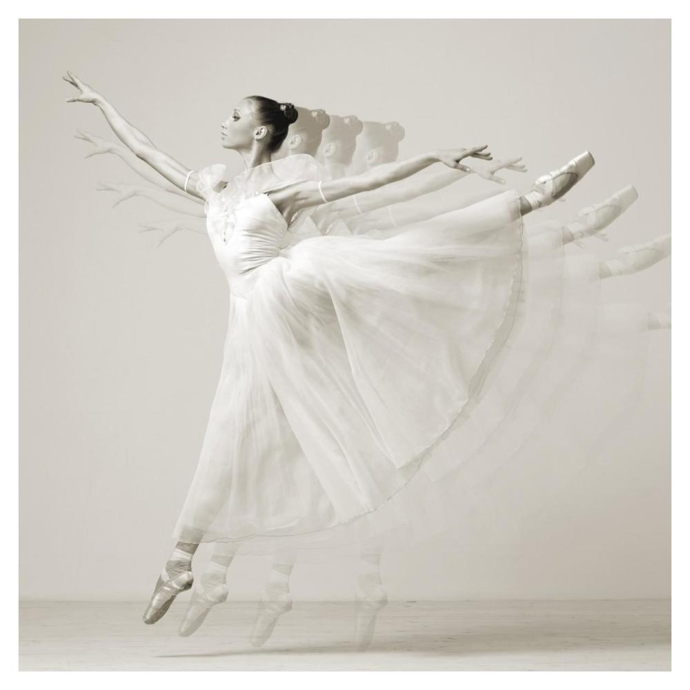Leaping Beauty (detail)-Paper Art-38"x38"